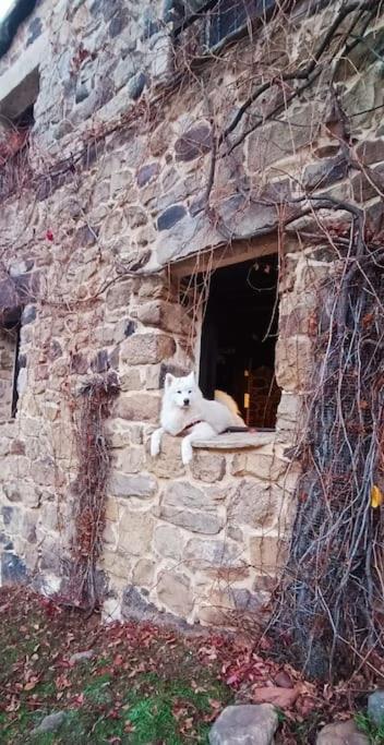 Casa Con Encanto Lagunanegra Y Urbion Vinuesa Εξωτερικό φωτογραφία