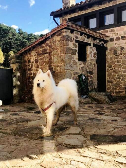 Casa Con Encanto Lagunanegra Y Urbion Vinuesa Εξωτερικό φωτογραφία